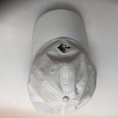 Pet cap, as reported by Rijksmuseum using iLost