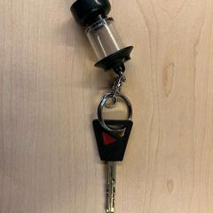 Klucze, zgłoszono przez Gemeente Stichtse Vecht przy użyciu iLost