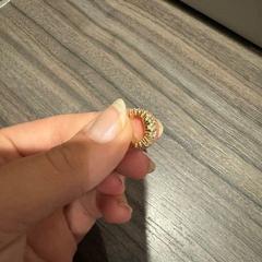 Náušnica goud / diamantjes, ako bolo nahlásené Van der Valk Hotel Zwolle pomocou iLost