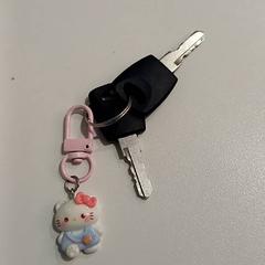 Key, as reported by allGo Almere using iLost