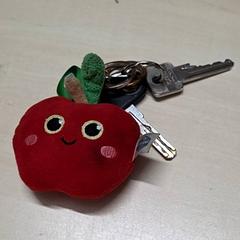 Kľúče, ako bolo nahlásené Arriva Oost-Brabant pomocou iLost