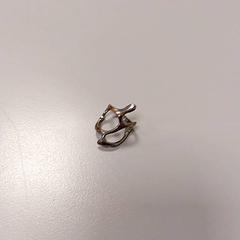 Gyűrű, amint azt Vrije Universiteit Amsterdam az iLost segítségével jelentette.