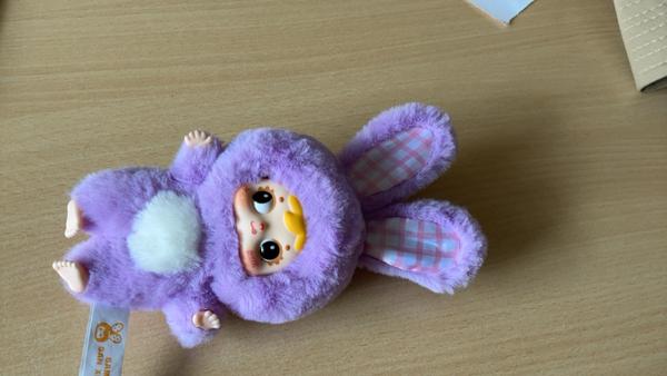 Toy