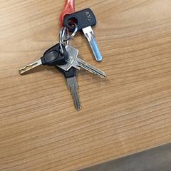 Llavero, ha sido reportado por RRReis Veluwe Zuid - Ede con iLost