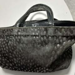 Mala de mão Alblas, como reportado por Arriva West-Brabant utilizando o iLost