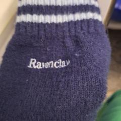 Handschoen Harry Potter がiLostに報告されました