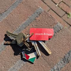 Sleutelbos, som rapporterats till iLost