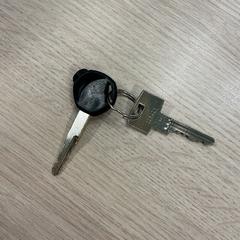 Porte-clés sleutels, a été signalé par Gemeente Arnhem utilisant iLost