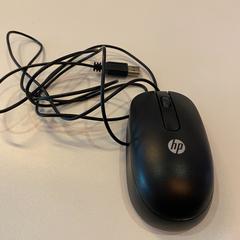 ねずみ がiLostで NHL Stenden hogeschool Emmen によって報告されました