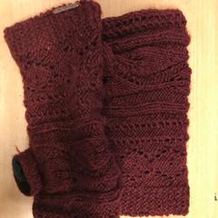 Handschoen, a été signalé par Pathé Buitenhof utilisant iLost