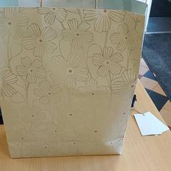 Tas - Papier zak, zoals gemeld door Regio Limburg - Leuven met iLost