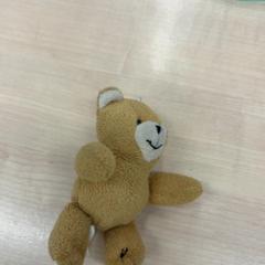 おもちゃ Beertjes knuffel がiLostで IKEA Eindhoven によって報告されました