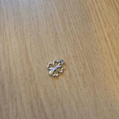 Hangertje, iLost를 사용하여 Canisius-Wilhelmina Ziekenhuis에 보고됨