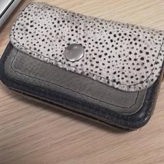 Estuche Adema, ha sido reportado por Qbuzz Fryslân con iLost