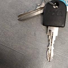 Llavero Met tag en sleutelhanger, ha sido reportado por Arriva Friesland / Groningen con iLost