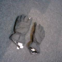 Handschoenen, zoals gemeld door SnowWorld Landgraaf met iLost
