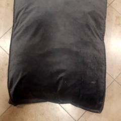 Dog bed, as reported by Grand Hotel Amrath Kurhaus using iLost