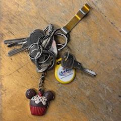 Keys, as reported to iLost