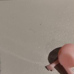 Speelgoed poppetje, ha sido reportado a iLost