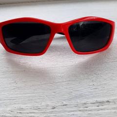 Sunglasses Rood, as reported by DierenPark Amersfoort using iLost