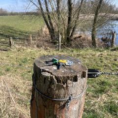 Sleutelbos, gerapporteerd met iLost