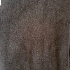 Szal Zwart, zgłoszono przez DierenPark Amersfoort przy użyciu iLost