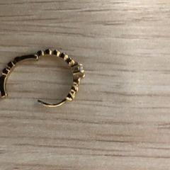 İLost kullanarak Diakonessenhuis Utrecht tarafından bildirildiği gibi Küpe