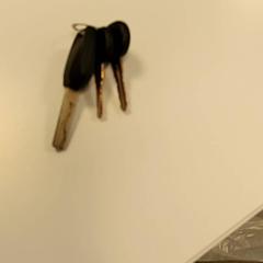 المفاتيح، كما تم الإبلاغ عنه بواسطة U-OV Amersfoort عبر iLost