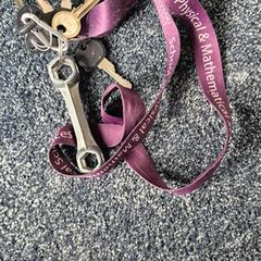 Sleutelbos, como reportado ao iLost