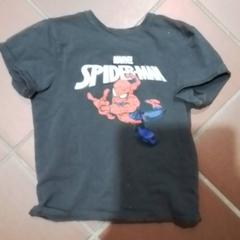 Ropa & Camisa, ha sido reportado por Apenheul con iLost