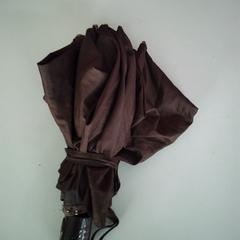 우산, iLost를 사용하여 Twisto에 보고됨