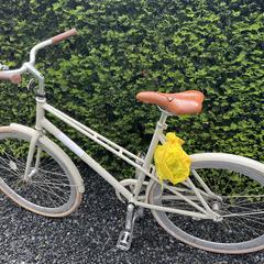 Fiets, iLost-i jakinarazi zaion moduan