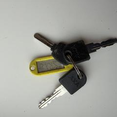 Sleutelbos, jak bylo nahlášeno na iLost