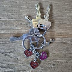 Sleutelbos がiLostに報告されました