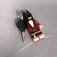 Chave, como reportado por Diergaarde Blijdorp utilizando o iLost