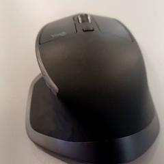 Myš Zwart met grijs, jak nahlášeno Heidelberglaan 15 pomocí iLost