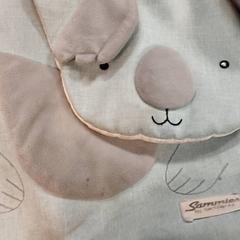 Ryggsekk, som rapportert av Centraal magazijn ved bruk av iLost