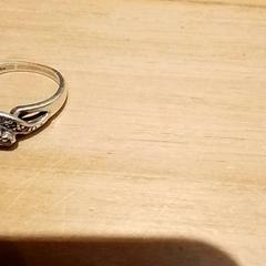 Šperky Zilver, ako bolo nahlásené Beekse Bergen Resorts en Hotel pomocou iLost