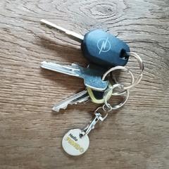 Sleutelbos met 2 sleutels en autosleutel, as reported to iLost