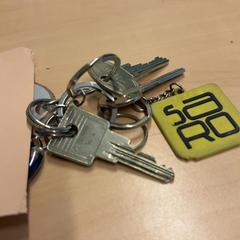 İLost kullanarak RET tarafından bildirildiği gibi Anahtarlar