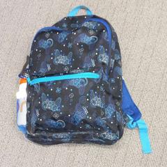 Motxilla, segons ha informat Arriva West-Brabant mitjançant iLost