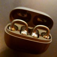 Earphones, gemeldet von Koninklijk Theater Carré über iLost