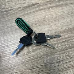 Chaveiro 3 sleutels, segundo informou Goois Natuurreservaat usando iLost