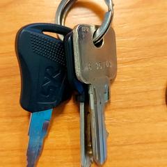 Klucz, zgłoszono przez Blauwnet Zwolle przy użyciu iLost