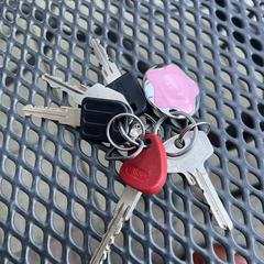 Sleutelbos, amint azt az iLostnak jelentették.