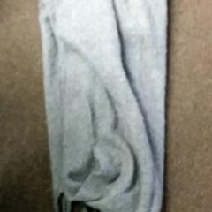 Šátek Grijs, jak nahlášeno Burgers' Zoo pomocí iLost