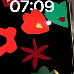 Téléphone portable Contact R Steen iPhone, a été signalé par Qbuzz GD Groningen HS utilisant iLost