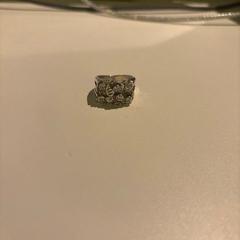 Anell SILVER, segons ha informat Room Mate Bruno mitjançant iLost