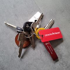 Sleutelbos, iLost-i jakinarazi zaion moduan