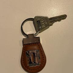Klucz, zgłoszono przez Room Mate Bruno przy użyciu iLost